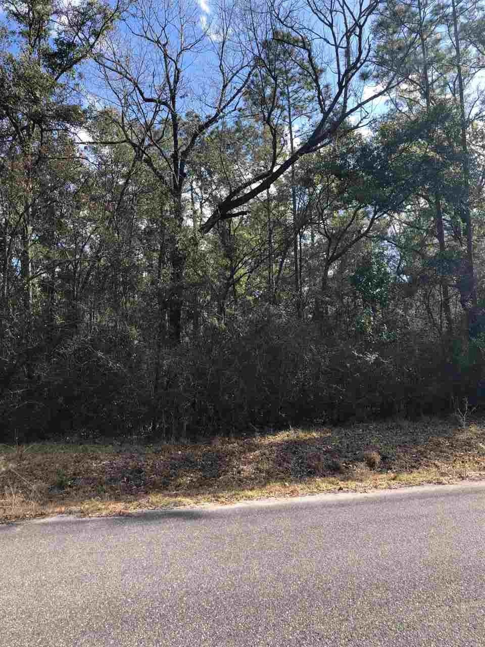 0 Hog Hedge unit 301978, Crawfordville, FL 32327 - photo 1