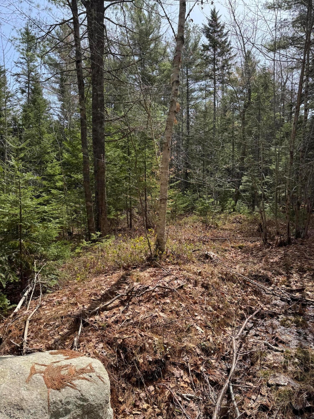 For Sale $79,999 • Co-Listing Agent