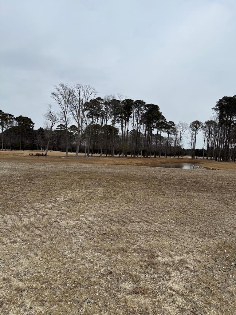 108 Governor's Way unit 338, Cape Charles, VA 23310 - photo 1