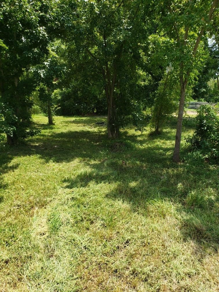 1029 Marjorie St, Houston, TX 77088 - photo 1