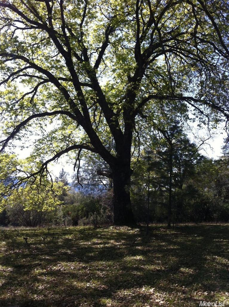 0 La Paz Rd, Placerville, CA 95667 - photo 1