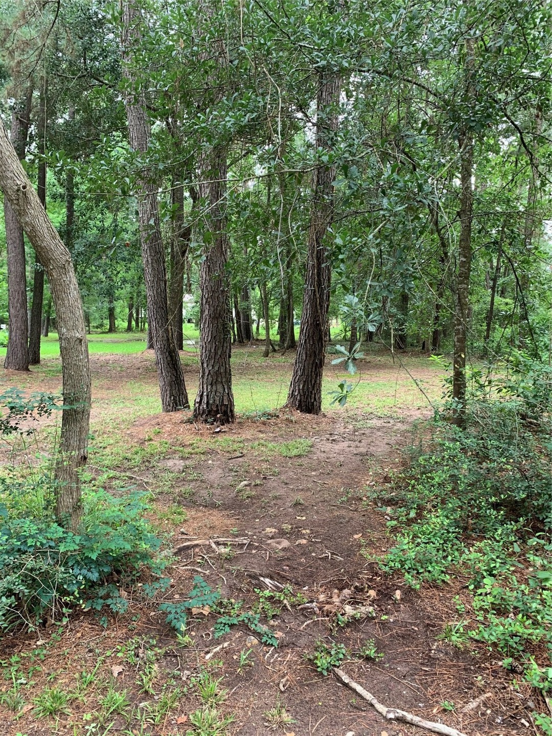 23906 Brushy Trails St, Hockley, TX 77447 - photo 1