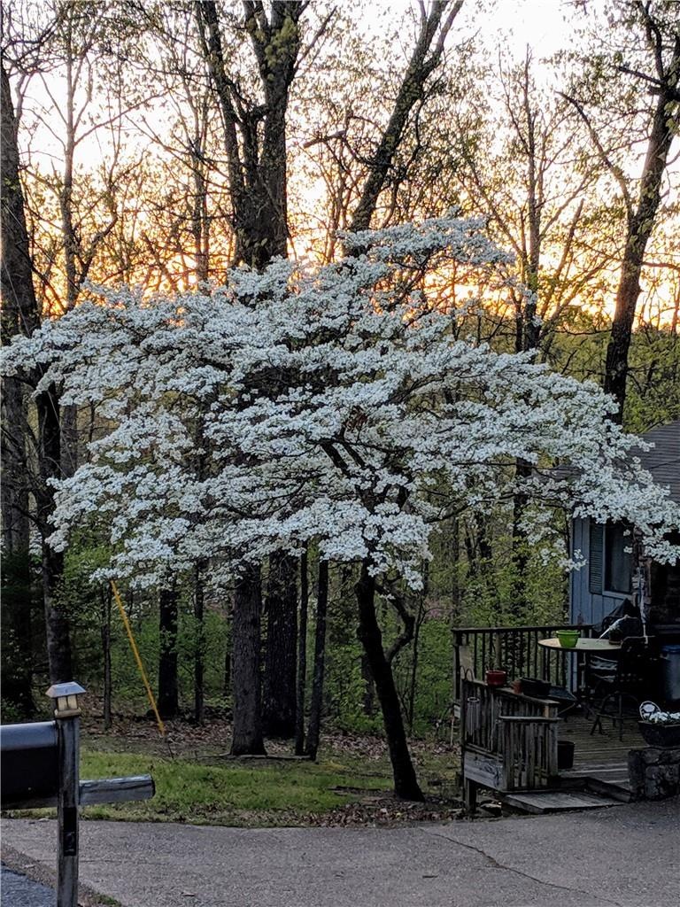 52 Dewsbury Dr, Bella Vista, AR 72714 - photo 1