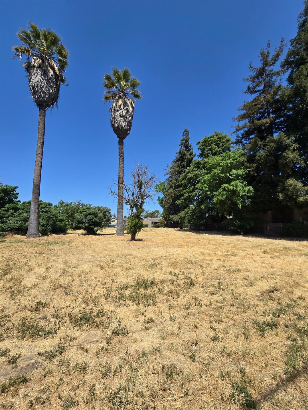 951 E Main St, Turlock, CA 95380 - photo 1