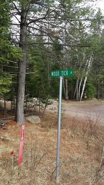 Lot 2 Wood Tick Ln, Tomahawk, WI 54487 - photo 1
