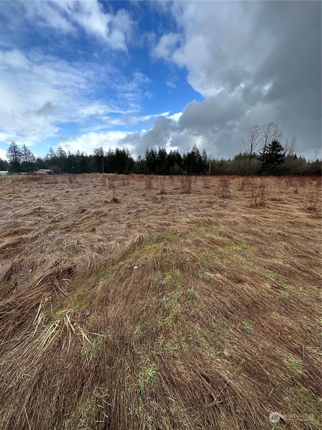 448 Meier Rd, Winlock, WA 98596 - photo 1