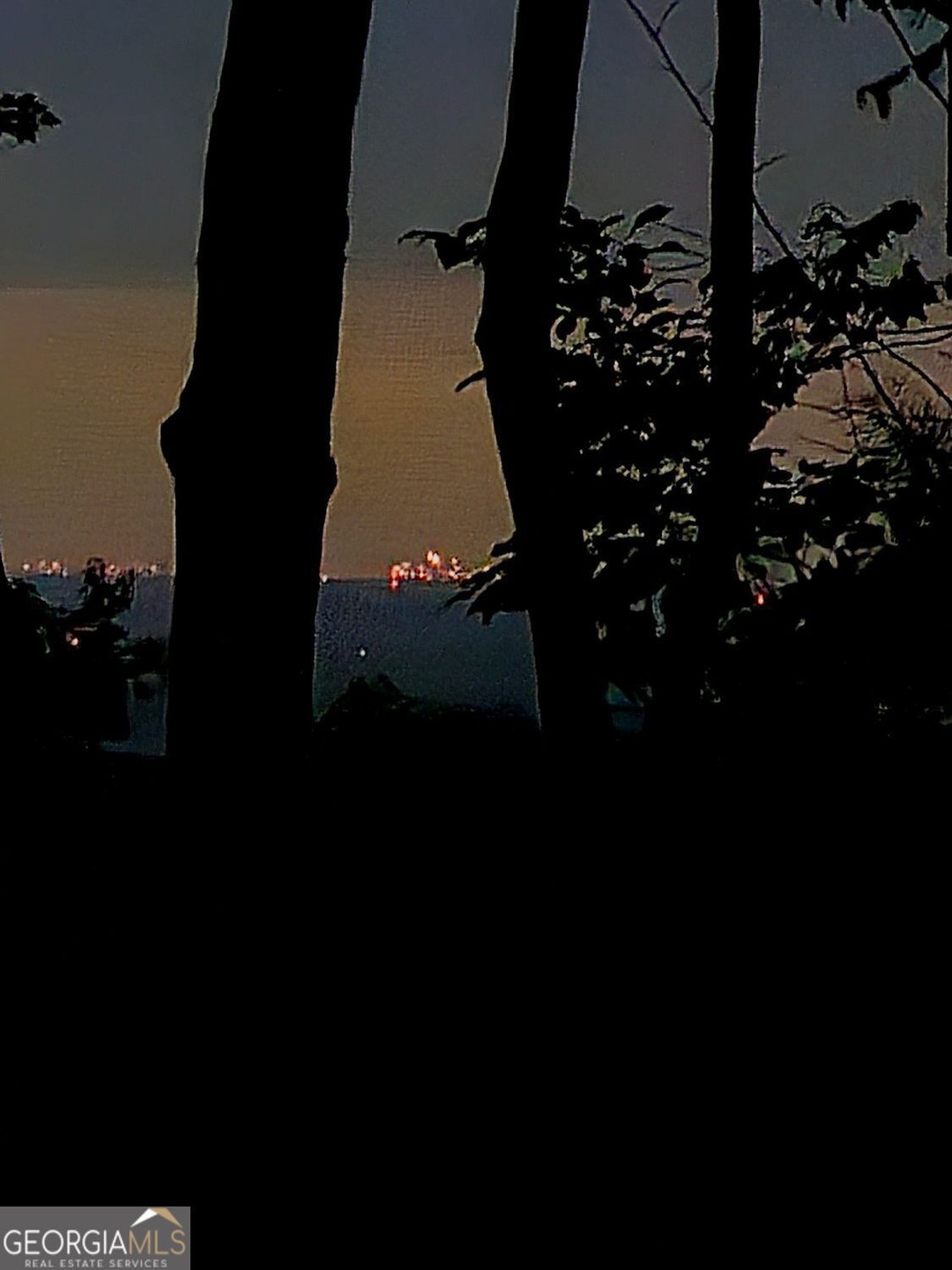 Lt272 Andes Ridge, Ellijay, GA 30536 - photo 1