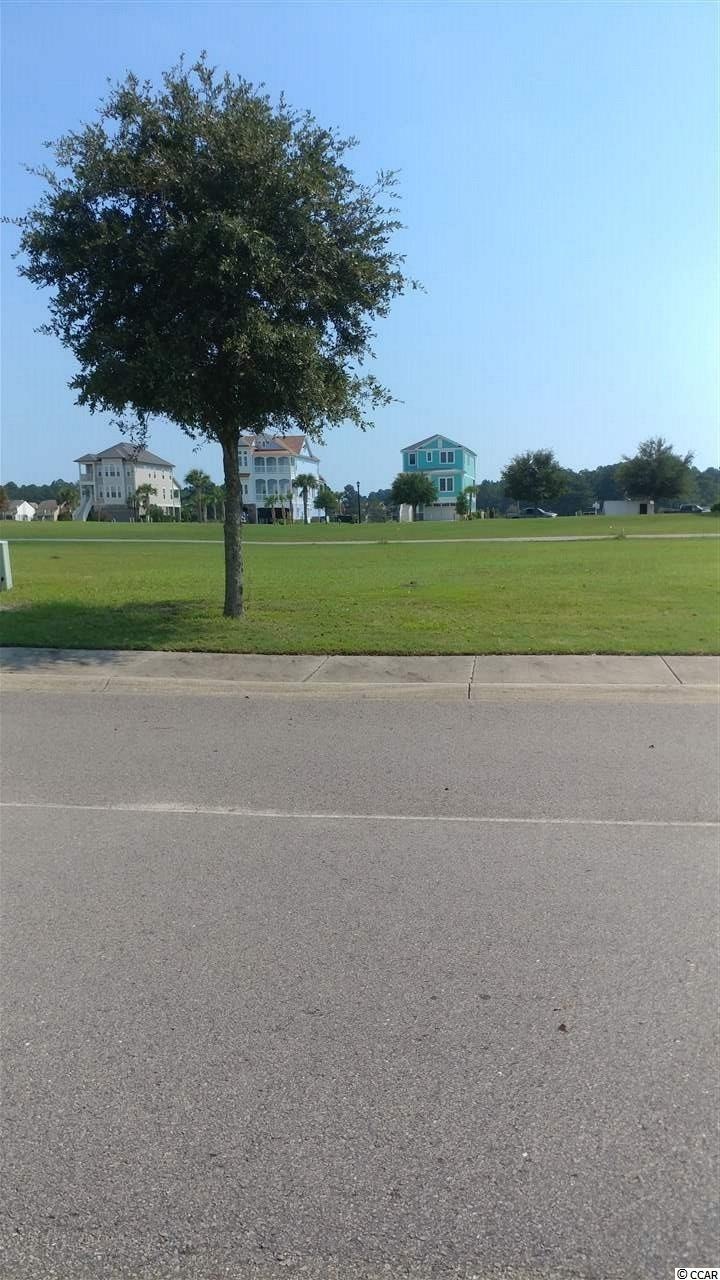 Carousel Image