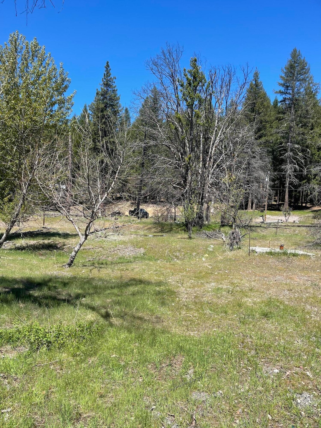 300 Cedar Gap Rd, Ruth Lake, CA 95526 - photo 1