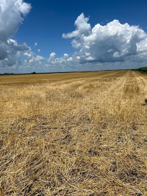 17 Route Rd, Varna, IL 61375 - photo 1