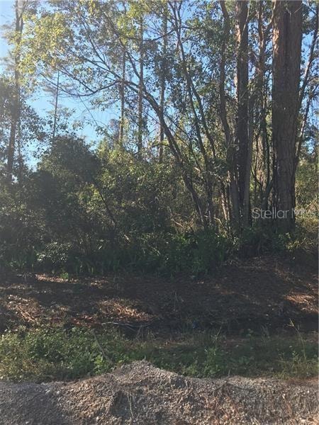 0 Hill Paper Ave unit V4712920, Deltona, FL 32725 - photo 1