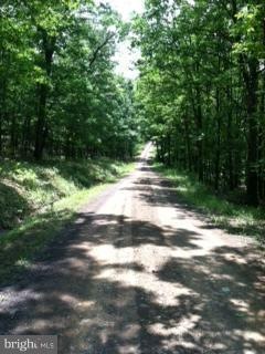 3 Little Cacapon Mtn Rd, Slanesville, WV 25444 - photo 1
