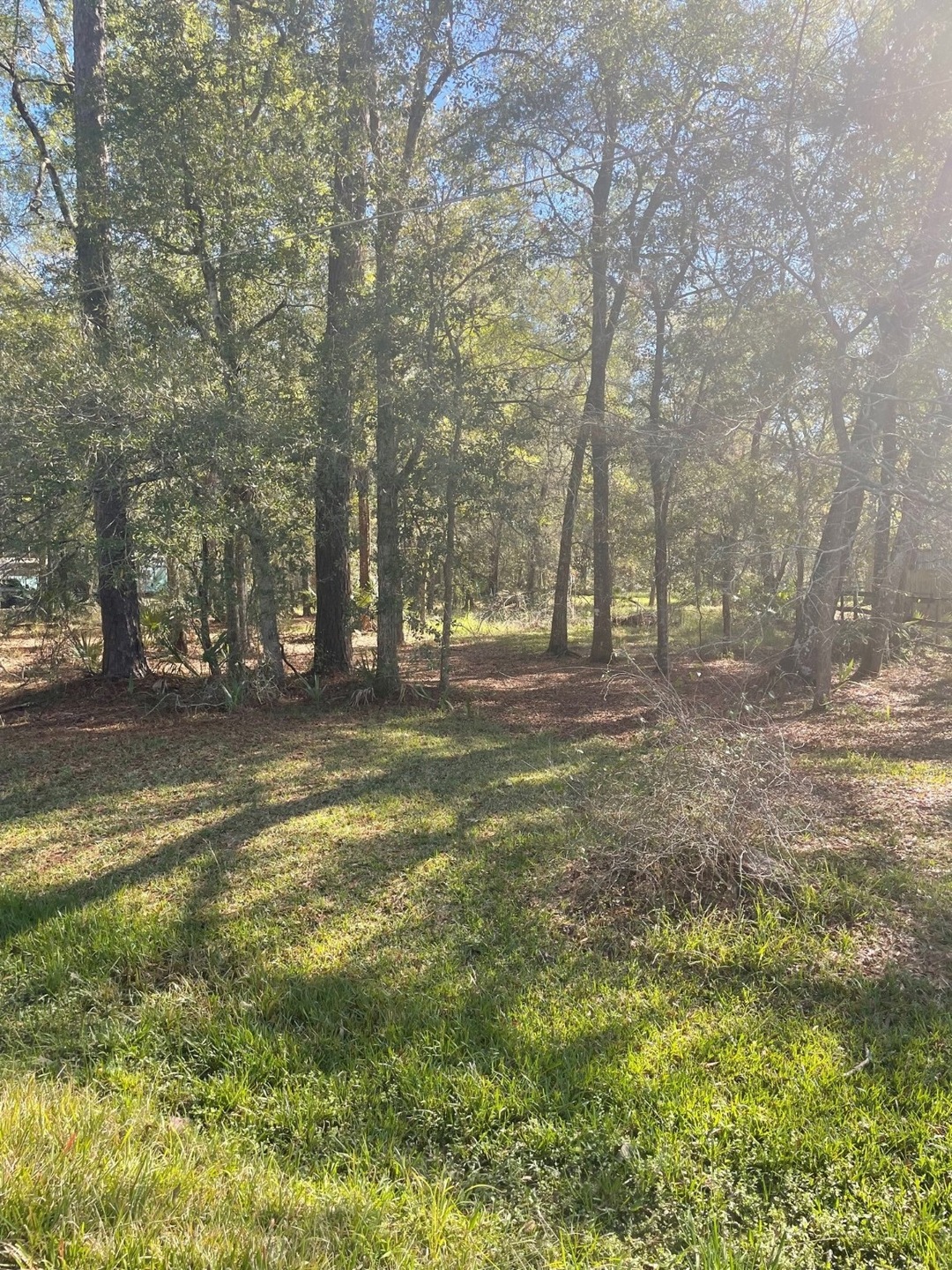 TBD County Road 441, Dayton, TX 77535 - photo 1