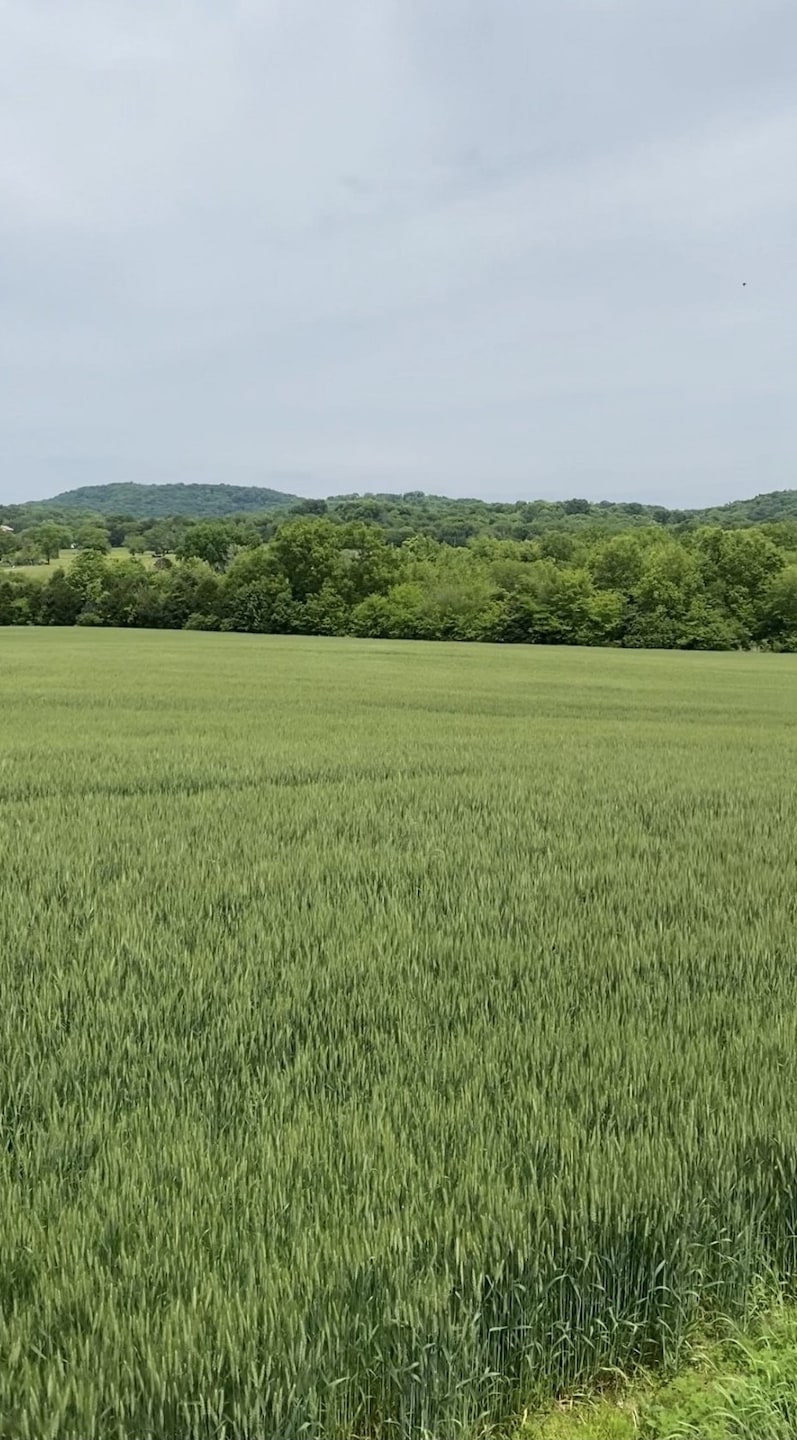 513 Suzanne Way, Bethpage, TN 37022 - photo 1