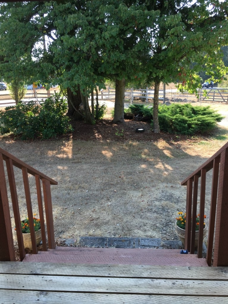 16036 Bald Hill Rd SE, Yelm, WA 98597 - photo 1