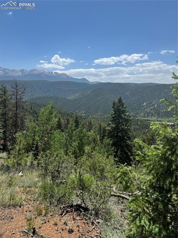 View of mountain background featuring a forest