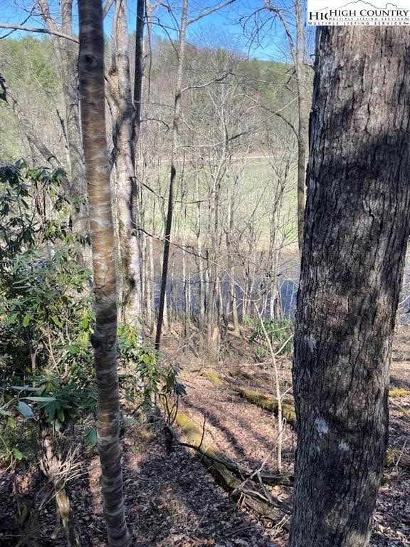 TBD Spruce Ln, Crumpler, NC 28617 - photo 1