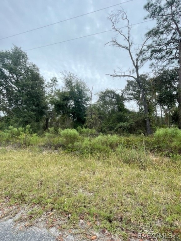 unlisted-address, Dunnellon, FL 34431 - photo 1