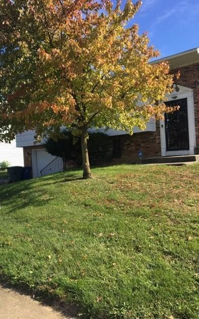 Beautiful Brick Front