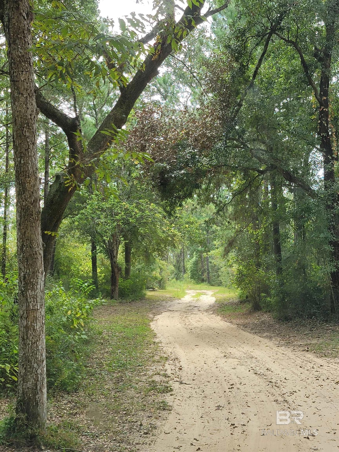 17505 Hansel Hodges Rd, Elberta, AL 36530 - photo 1