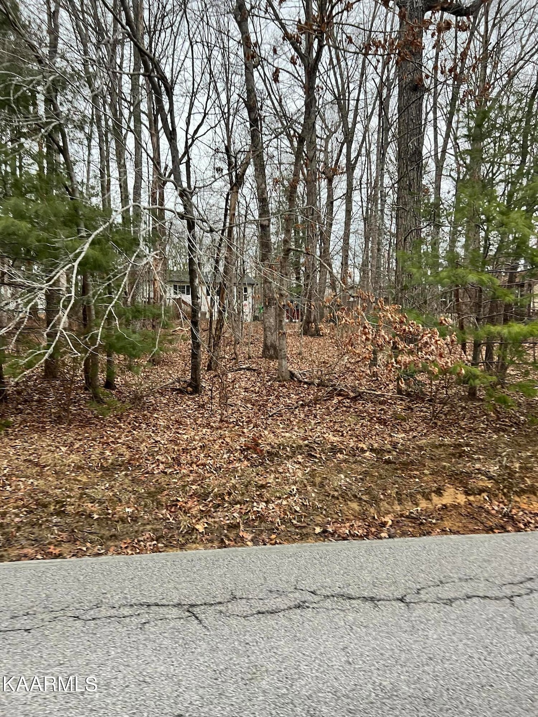 233 St George Dr, Fairfield Glade, TN 38558 - photo 1