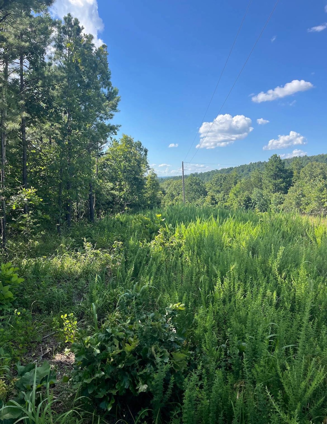 Tract 3 SE 1083 Road Ave, Red Oak, OK 74563 - photo 1