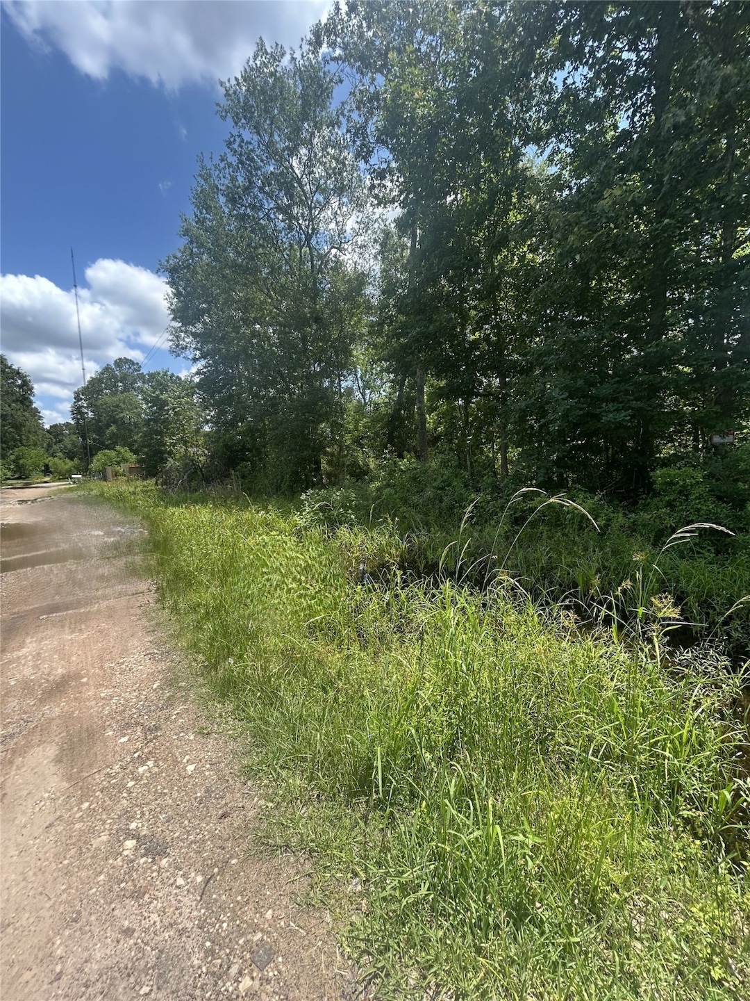 The lot is wooded by lush greenery and tall trees