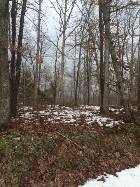 0 Cardinal Rd, Bella Vista, AR 72715 - photo 1