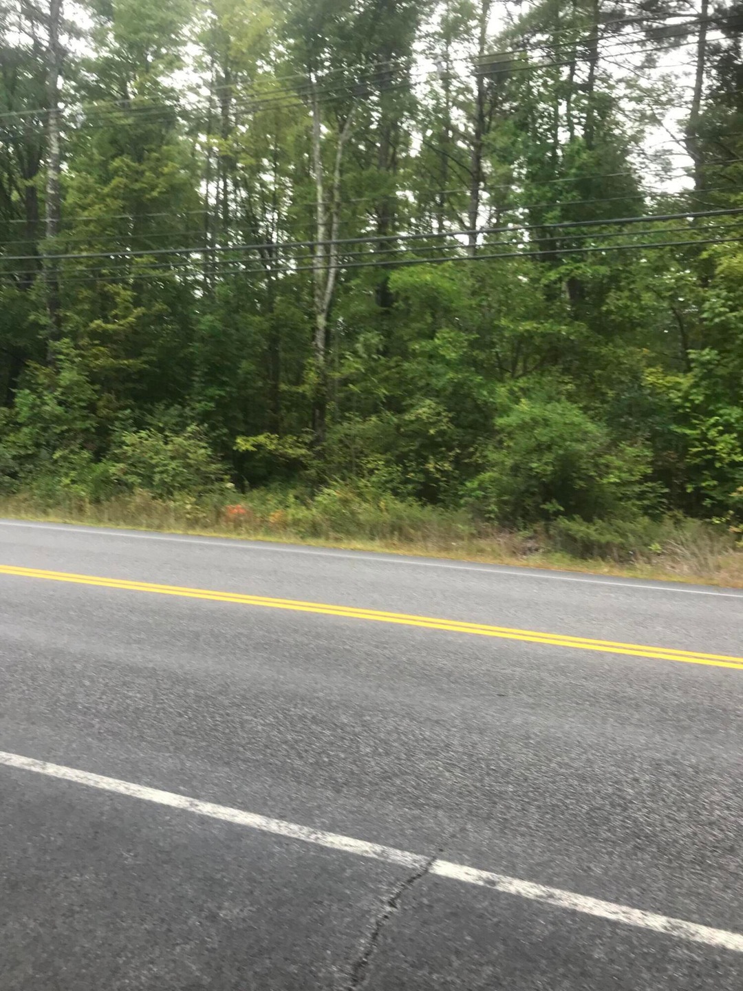 0 Pequawket Trail unit 1509342, Baldwin, ME 04024 - photo 1