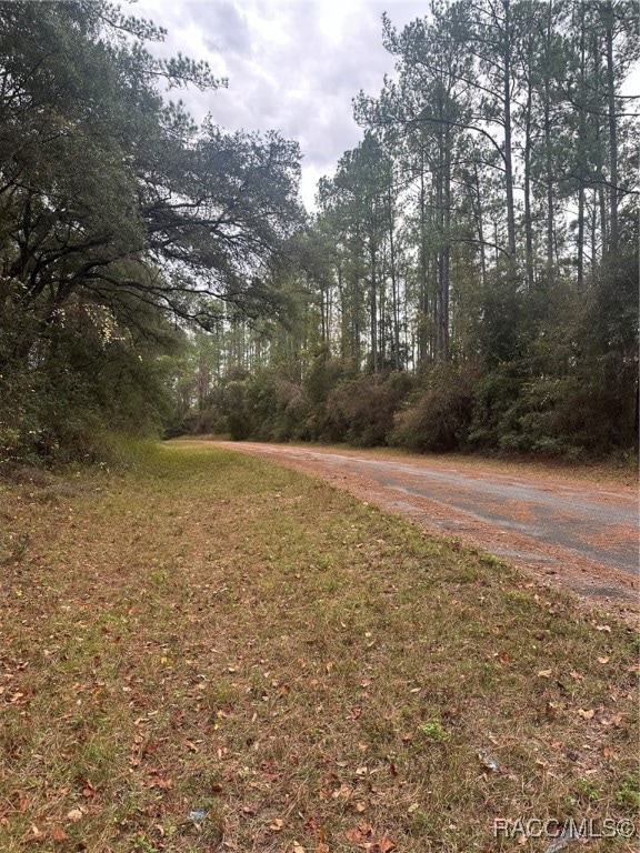 8107 N Floyd Point, Dunnellon, FL 34434 - photo 1