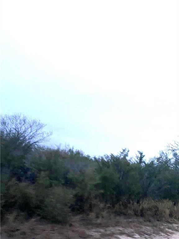 0 Fm 1329 unit 467917, San Diego, TX 78384 - photo 1