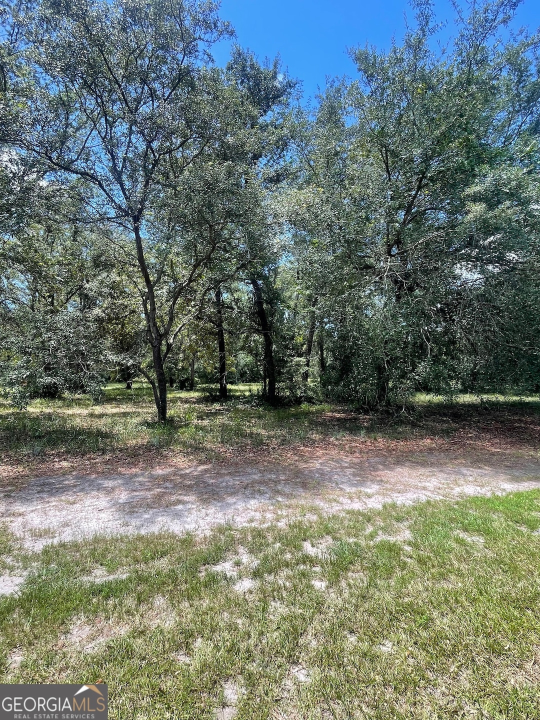 LOT 1A-13 Coopers Point Dr NE, Townsend, GA 31331 - photo 1