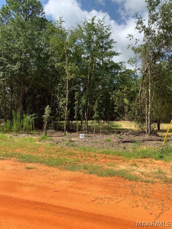 Lot 10 Deer Loop