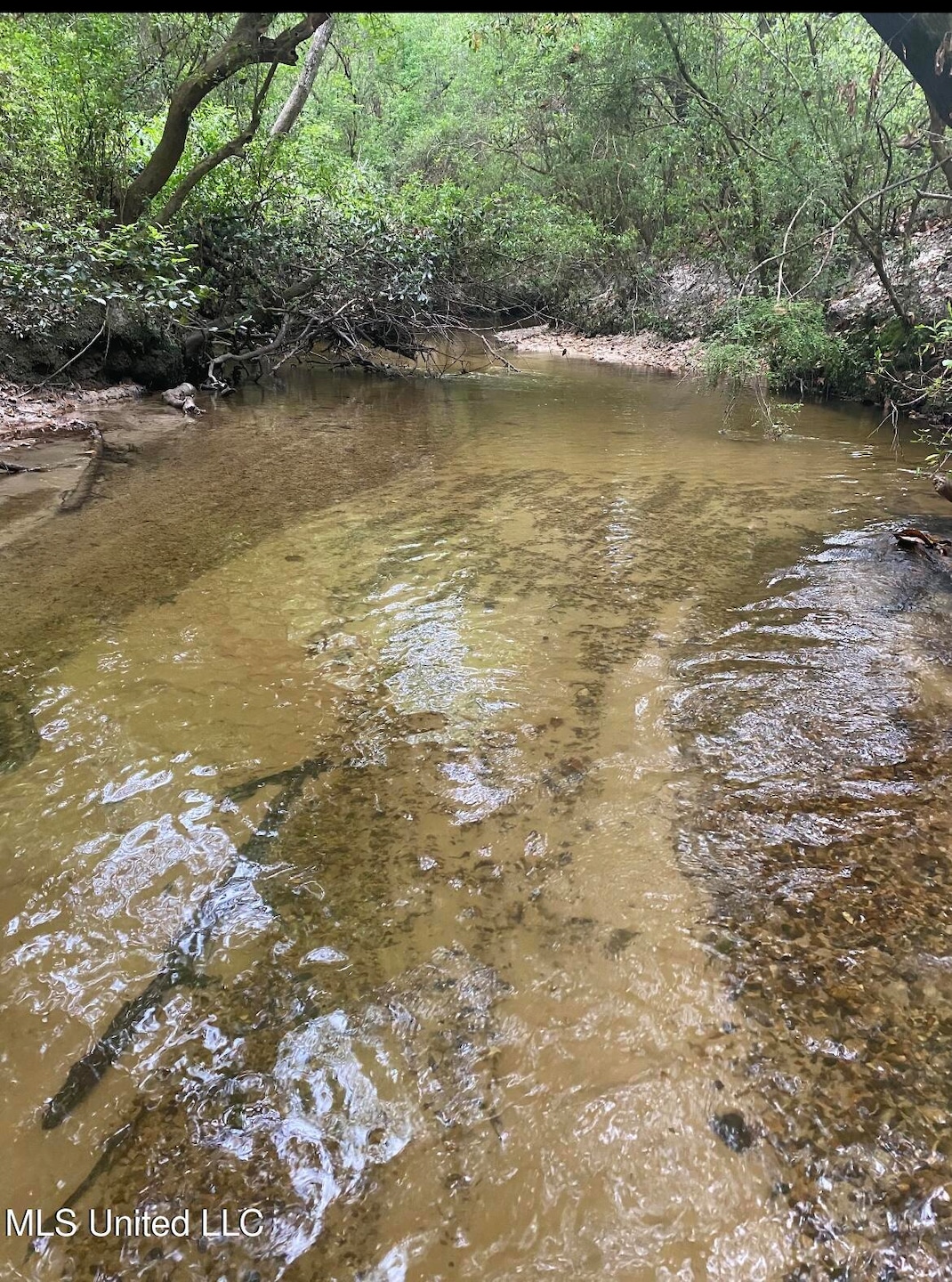 0 10 35 Ac Barton Agricola Rd, Lucedale, MS 39452 - photo 1
