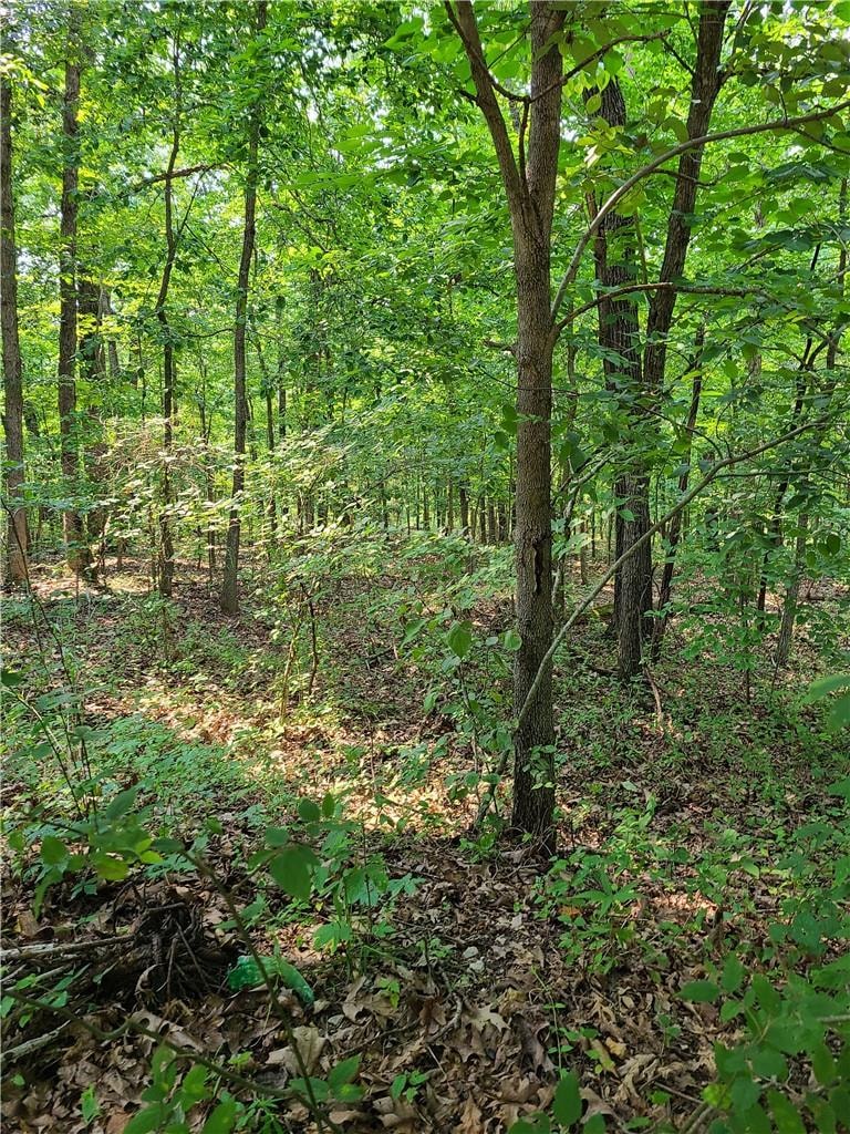 0 Lot 4 Chatburn Dr unit 1192140, Bella Vista, AR 72715 - photo 1