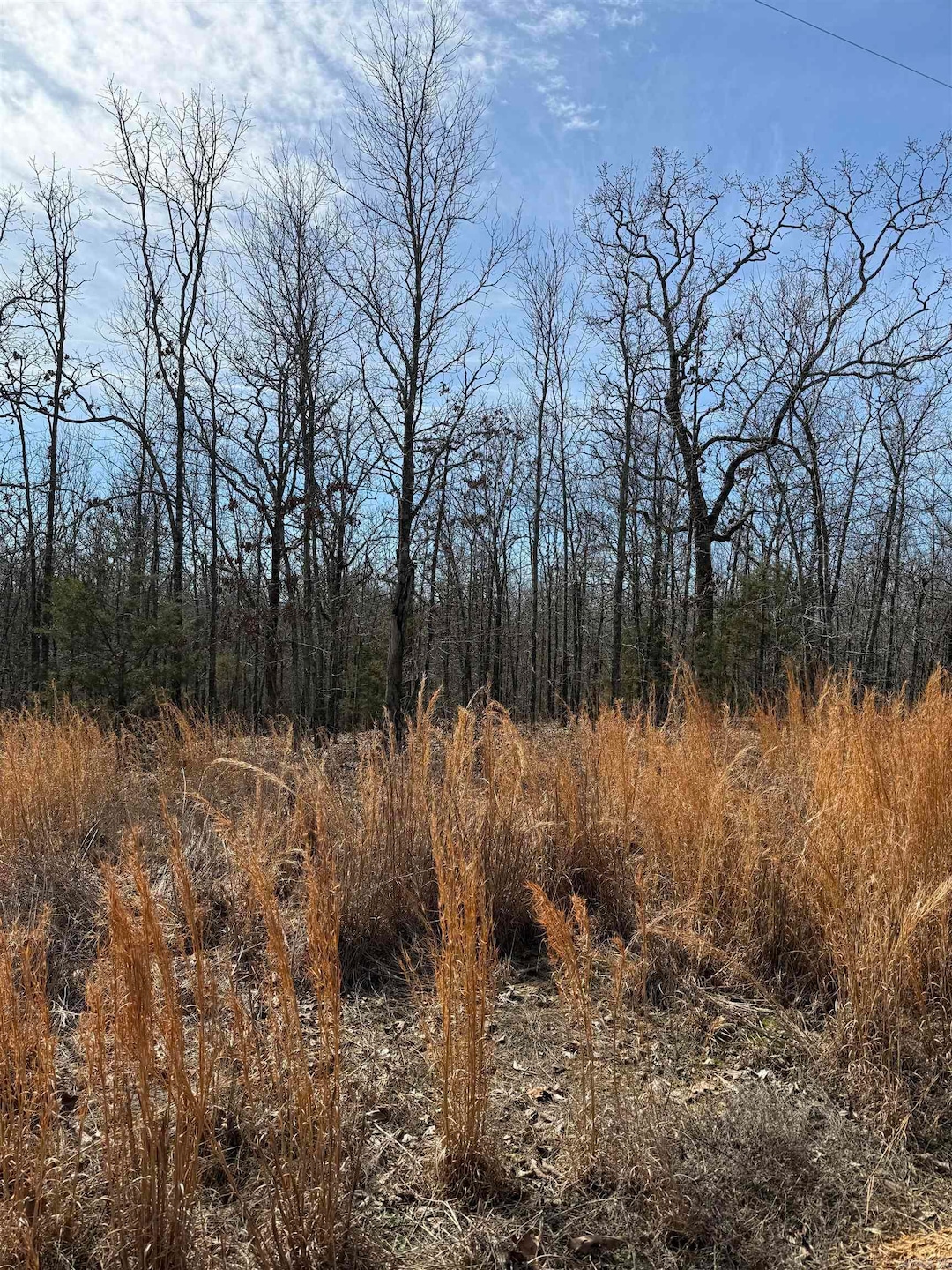 43 Megan Ln, Conway, AR 72032 - photo 1