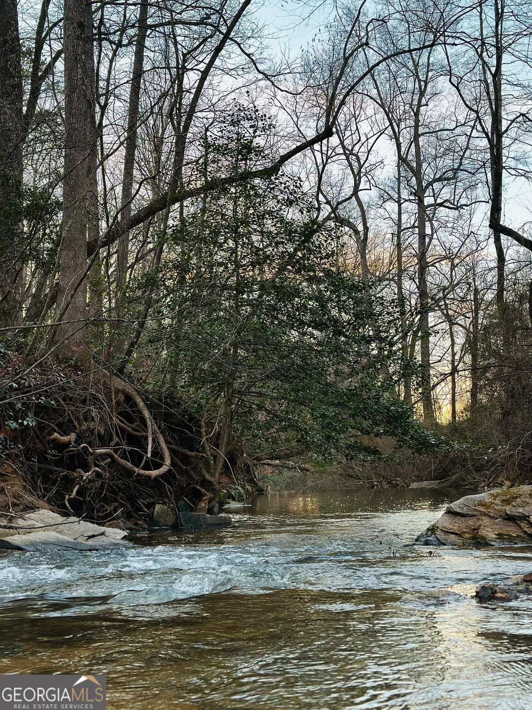 0 Hills Mill Rd unit 10255773, Cornelia, GA 30531 - photo 1