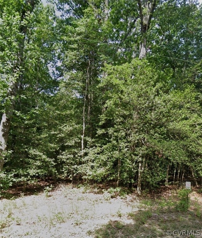 View of local wilderness