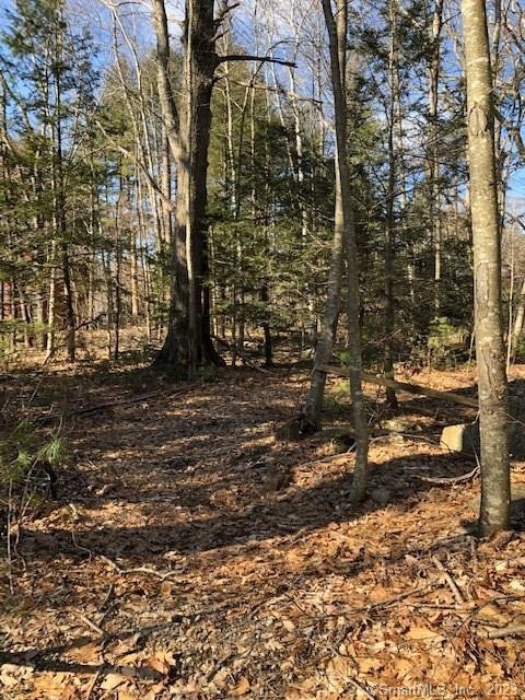 0 Playground Dr unit 170270820, Woodstock, CT 06281 - photo 1