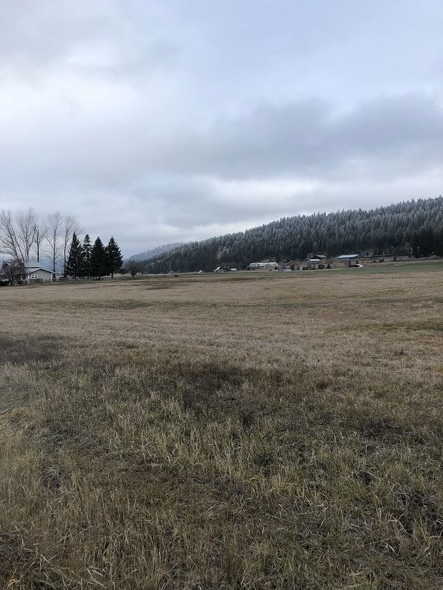 2040 Steinmetz Rd, Chewelah, WA 99109 - photo 1