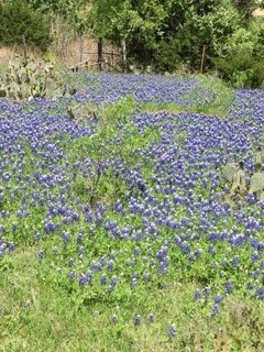 712 S Bowie St unit 1, Fredericksburg, TX 78624 - photo 1