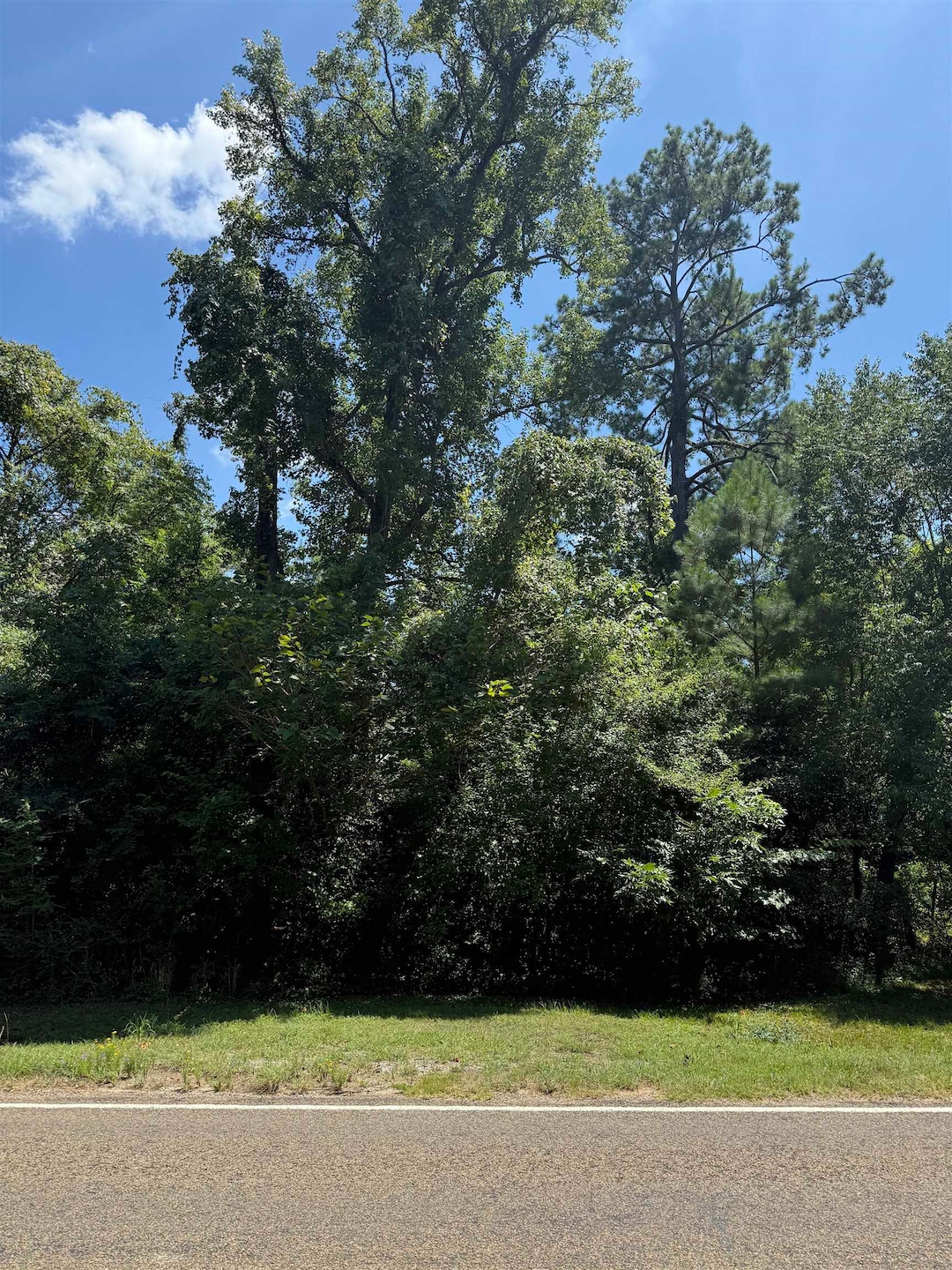 TRACT 11 Texas State Highway 87 unit 1/2 mile on Left bef, Burkeville, TX 75932 - photo 1