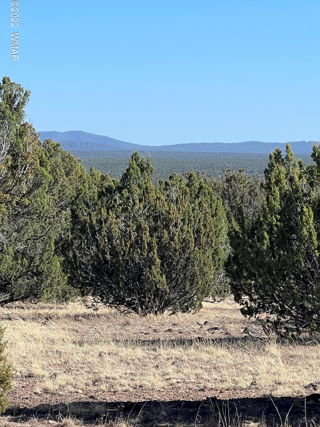 Sold $70,000 • Co-Listing Agent