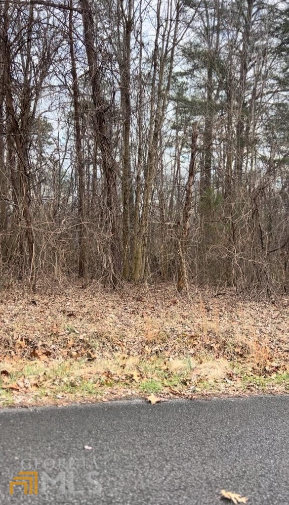 0 Bicentennial Trail unit 10125498, Rock Spring, GA 30739 - photo 1