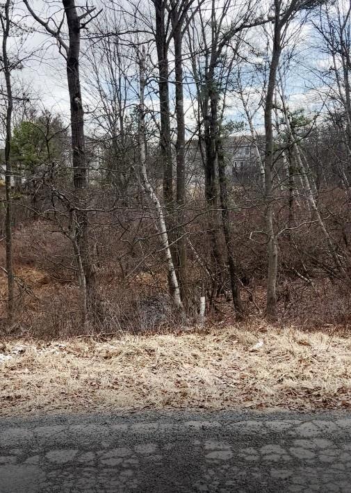 214 Sage Rd unit 1804, Tunkhannock Township, PA 18334 - photo 1