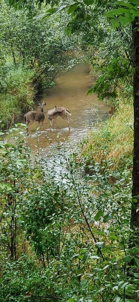 received_462884142137444