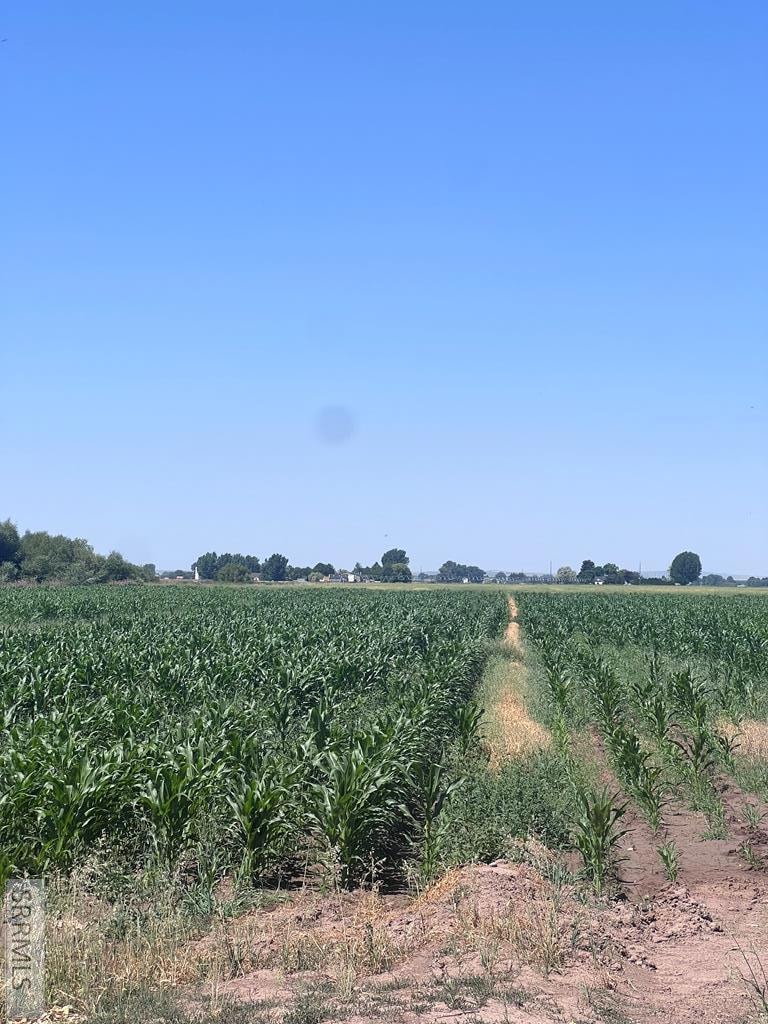 Sold • Co-Listing Agent