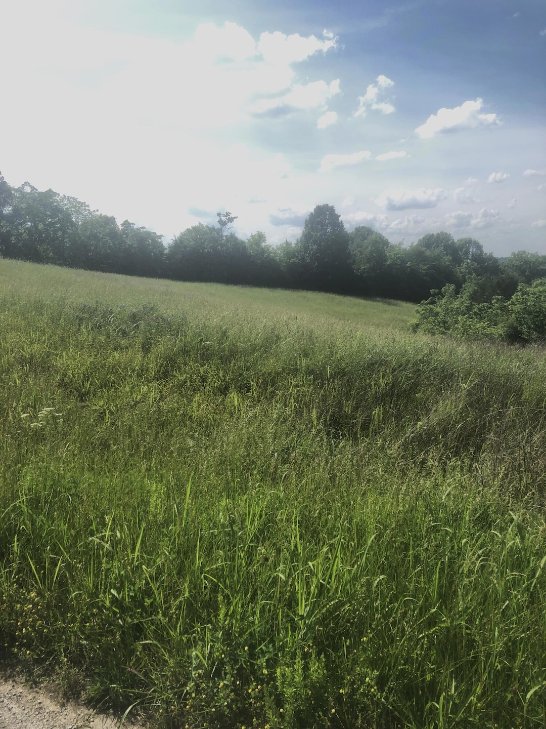 5 s Chowning Ln, Bloomfield, KY 40008 - photo 1