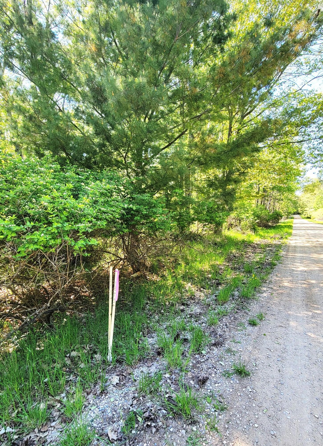 East corner