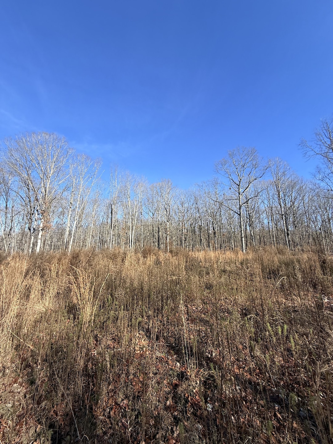 0 Deerwood Dr unit RTC3060905, Sewanee, TN 37375 - photo 1